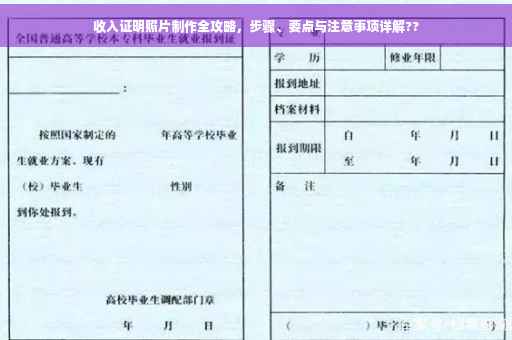 收入证明照片制作全攻略，步骤、要点与注意事项详解??