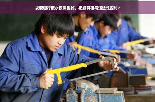 求职银行流水做假揭秘，犯罪真相与违法性探讨?