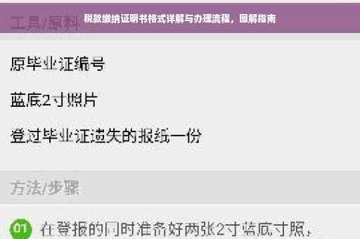 税款缴纳证明书格式详解与办理流程，图解指南