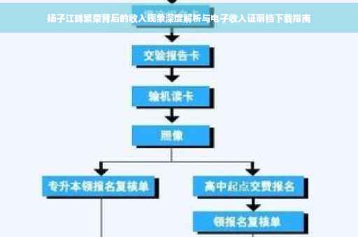 扬子江畔繁荣背后的收入现象深度解析与电子收入证明档下载指南