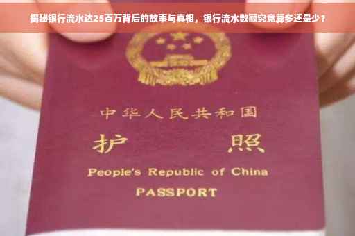 揭秘银行流水达25百万背后的故事与真相，银行流水数额究竟算多还是少？
