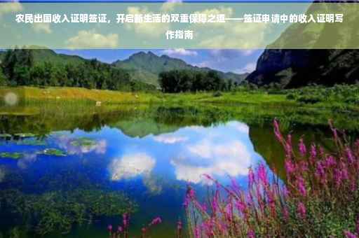 农民出国收入证明签证，开启新生活的双重保障之道——签证申请中的收入证明写作指南