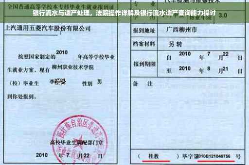 银行流水与遗产处理，法院操作详解及银行流水遗产查询能力探讨