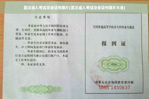 武汉成人考试毕业证书图片(武汉成人考试毕业证书图片大全)