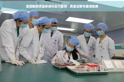 武钢集团质量承诺与实力展现 - 质量证明书查询指南