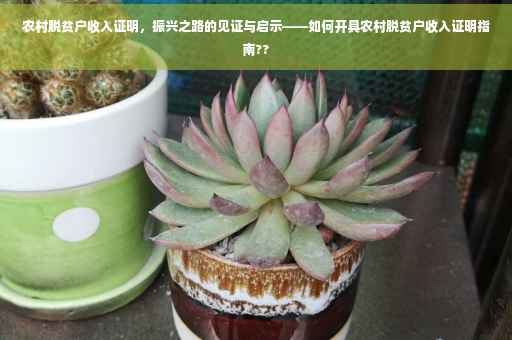 农村脱贫户收入证明，振兴之路的见证与启示——如何开具农村脱贫户收入证明指南??