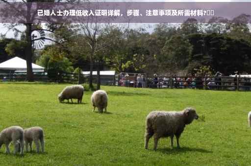 已婚人士办理低收入证明详解，步骤、注意事项及所需材料?⚡️