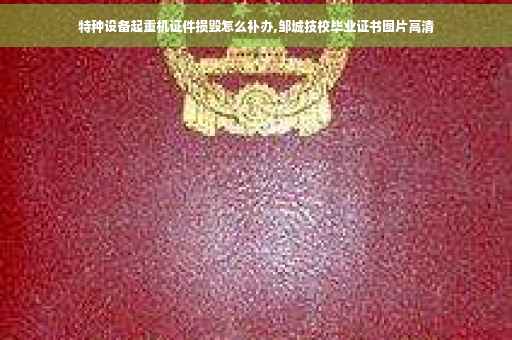 特种设备起重机证件损毁怎么补办,邹城技校毕业证书图片高清