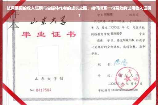 试用期间的收入证明与自媒体作者的成长之路，如何撰写一份高效的试用收入证明？