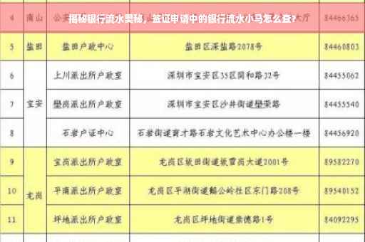 揭秘银行流水奥秘，签证申请中的银行流水小马怎么查？