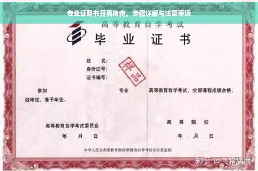 专业证明书开具指南，步骤详解与注意事项