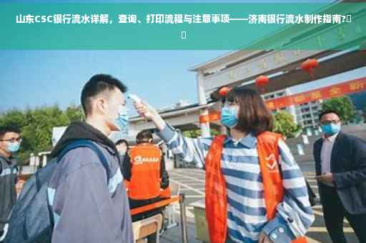 山东CSC银行流水详解，查询、打印流程与注意事项——济南银行流水制作指南?⚡️