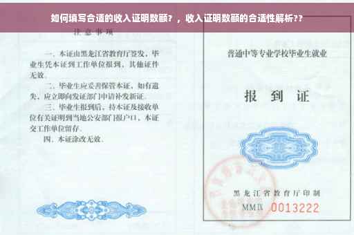 如何填写合适的收入证明数额？，收入证明数额的合适性解析??