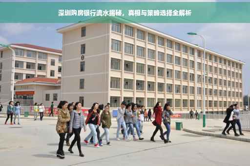 深圳购房银行流水揭秘，真相与策略选择全解析
