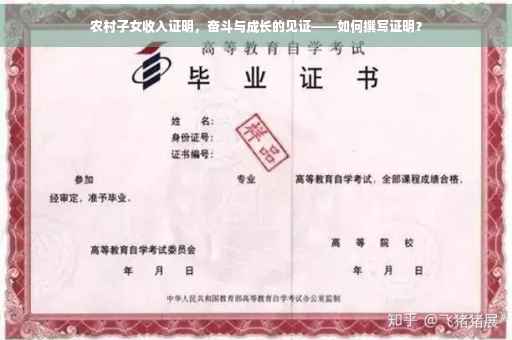 农村子女收入证明，奋斗与成长的见证——如何撰写证明？