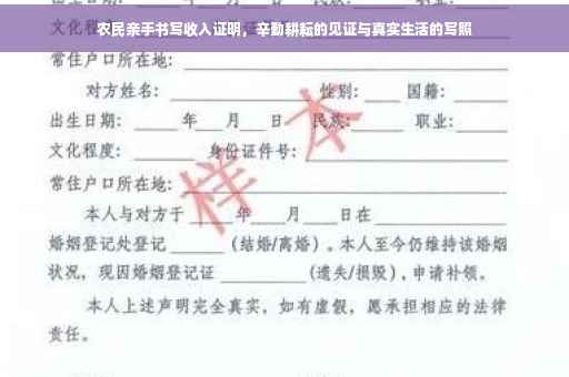 农民亲手书写收入证明，辛勤耕耘的见证与真实生活的写照