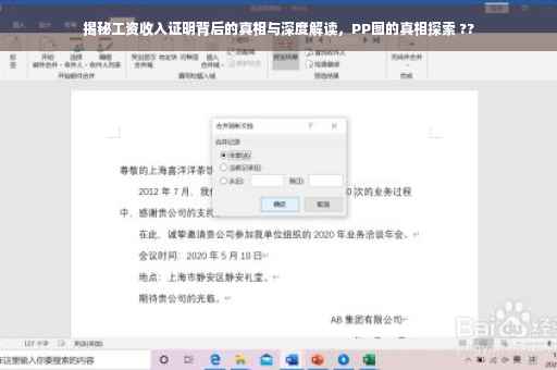 揭秘工资收入证明背后的真相与深度解读，PP图的真相探索 ??