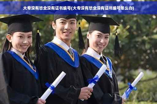 大专没有毕业没有证书编号(大专没有毕业没有证书编号怎么办)