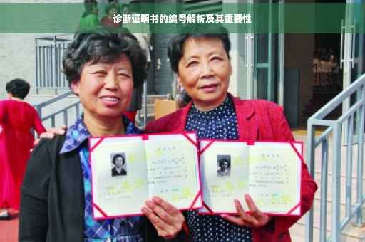 诊断证明书的编号解析及其重要性
