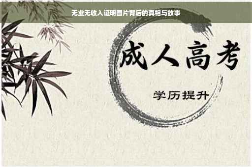 无业无收入证明图片背后的真相与故事