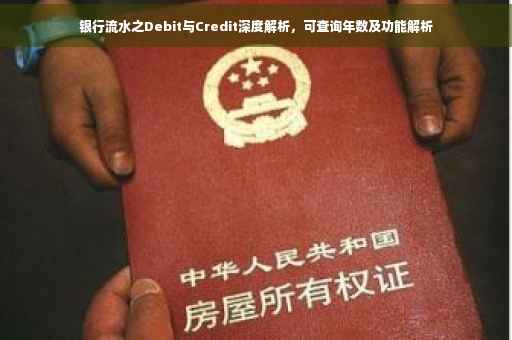 银行流水之Debit与Credit深度解析，可查询年数及功能解析