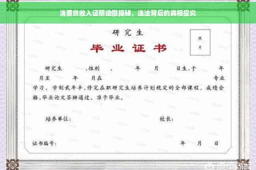 消费贷收入证明造假揭秘，违法背后的真相探究