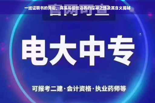 一纸证明书的背后，真实与信任边界的探寻之旅及其含义揭秘