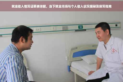 就业收入情况证明表详解，当下就业市场与个人收入状况揭秘及填写指南