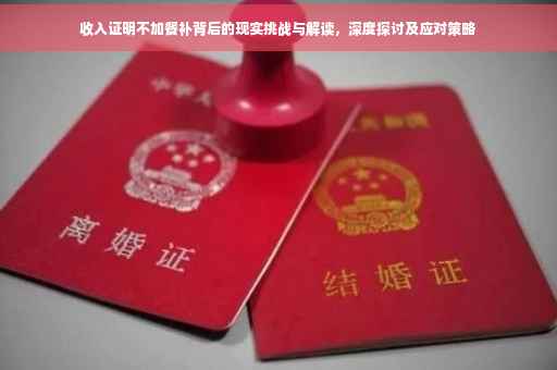 收入证明不加餐补背后的现实挑战与解读，深度探讨及应对策略