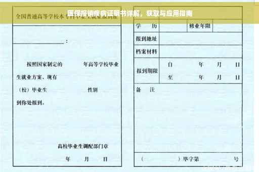 医保报销疾病证明书详解，获取与应用指南