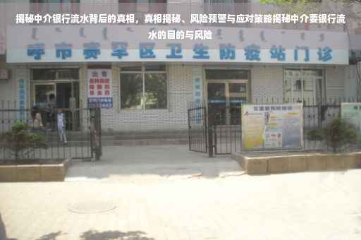 揭秘中介银行流水背后的真相，真相揭秘、风险预警与应对策略揭秘中介要银行流水的目的与风险