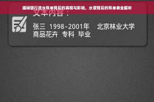 揭秘银行流水账单背后的真相与影响，水蛋背后的账单表全解析