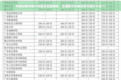 车损证明书图片详解及其重要性，全面展示车损证明书图片大全 ??