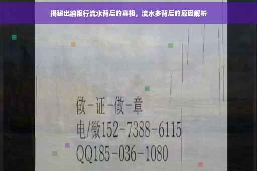 揭秘出纳银行流水背后的真相，流水多背后的原因解析