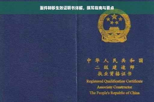 案件转移生效证明书详解，撰写指南与要点
