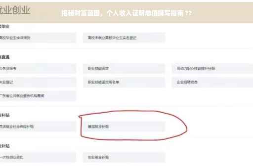 揭秘财富蓝图，个人收入证明总值撰写指南 ??
