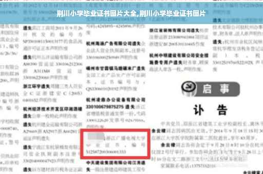 荆川小学毕业证书图片大全,荆川小学毕业证书图片