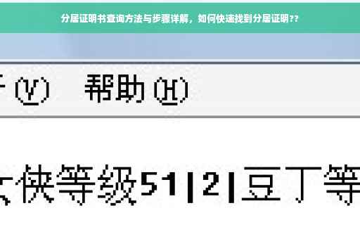 分居证明书查询方法与步骤详解，如何快速找到分居证明??