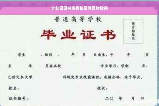 计划证明书表模板及其图片指南