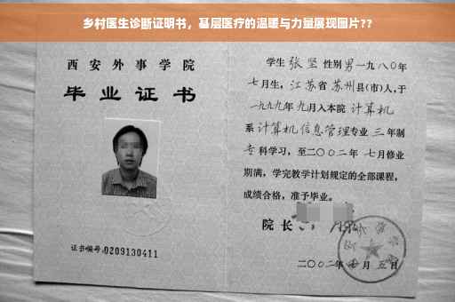 乡村医生诊断证明书，基层医疗的温暖与力量展现图片??