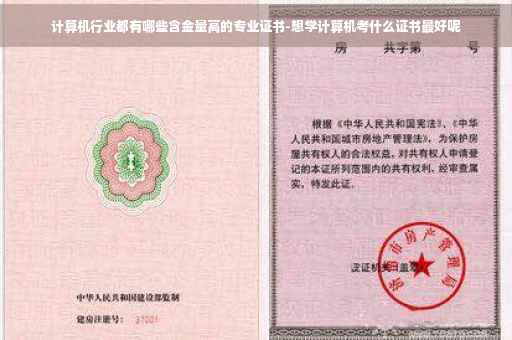 计算机行业都有哪些含金量高的专业证书-想学计算机考什么证书最好呢 计算机行业都有哪些含金量高的专业证书-想学计算机考什么证书最好呢