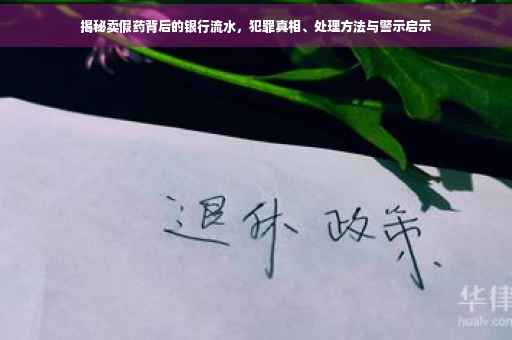 揭秘卖假药背后的银行流水，犯罪真相、处理方法与警示启示