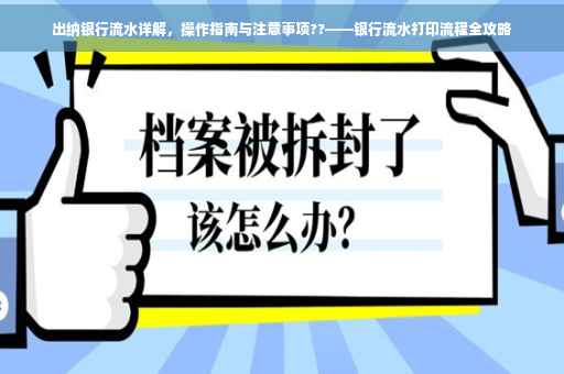 出纳银行流水详解，操作指南与注意事项??——银行流水打印流程全攻略
