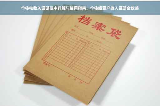 个体电收入证明范本详解与使用指南，个体经营户收入证明全攻略