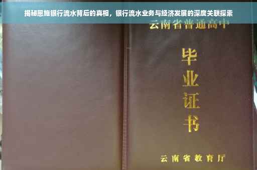 揭秘恩施银行流水背后的真相，银行流水业务与经济发展的深度关联探索