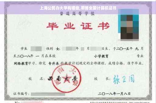 上海公民办大学有哪些,思博全国计算机证书