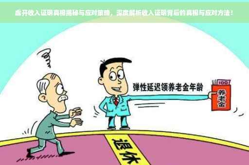 虚开收入证明真相揭秘与应对策略，深度解析收入证明背后的真相与应对方法！