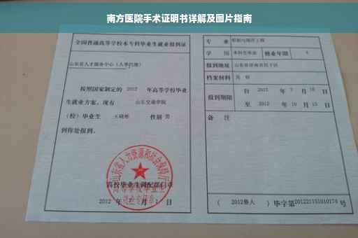 南方医院手术证明书详解及图片指南