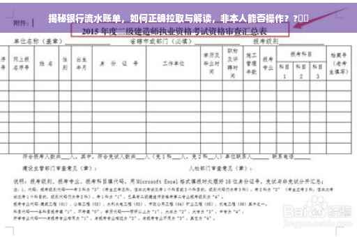 揭秘银行流水账单，如何正确拉取与解读，非本人能否操作？?⚡️