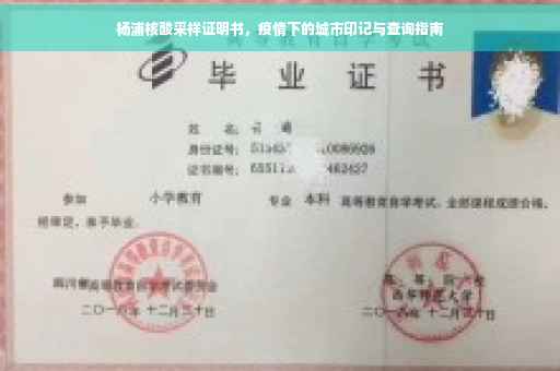 杨浦核酸采样证明书，疫情下的城市印记与查询指南